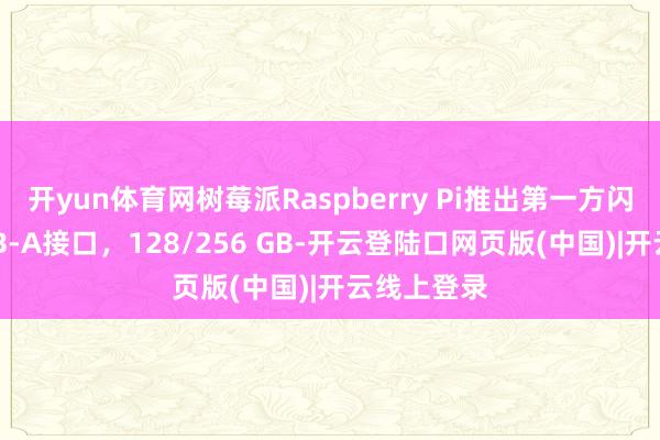 开yun体育网树莓派Raspberry Pi推出第一方闪存盘：USB-A接口，128/256 GB-开云登陆口网页版(中国)|开云线上登录